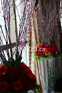 red_carnation_ceremony