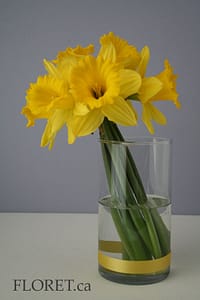 Simple Hand-tied Posy Of Marigold Daffodils