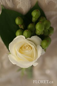 Pale Yellow Rose Boutonniere with Green Berries