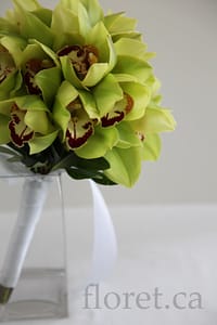 Green Orchid Wedding Bouquet | Floret.ca Chartreuse Green Orchid Bridal Bouquet | Floret.ca