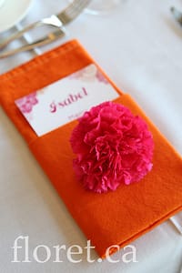 hot_pink_napkin_accents