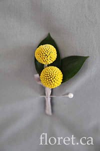 Billy Button Boutonniere | Floret.ca