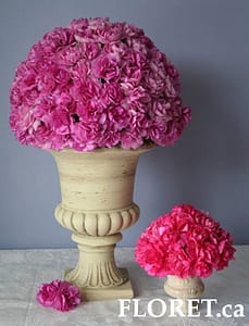 carnation_wedding_flower Carnation Wedding Centerpieces