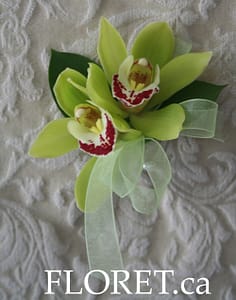 Modern Yet Classic Chartreuse Green Orchid Corsage With Kiwi Chiffon Ribbon To Complement