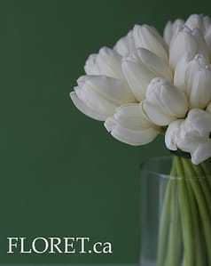 white_tulip_bouquet Wedding Bouquet of White Tulips