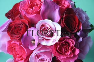 hot_pink_wedding_bouquet Wedding Bouquet Of Red, Fuschia and Light Pink Roses