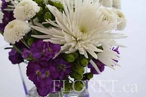 Pure White and Deep Purple Centerpiece | Floret.ca Pure White and Deep Purple Centerpieces | Floret.ca
