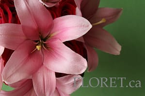 lily_bouquet Soft Pink Lily Wedding Bouquet | Floret.ca