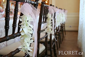 Strands of White Orchids Accenting Chivari Chairs Strands of White Orchids Accenting Chivari Chairs