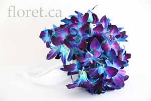 Blue Orchid Wedding Bouquet | Floret.ca